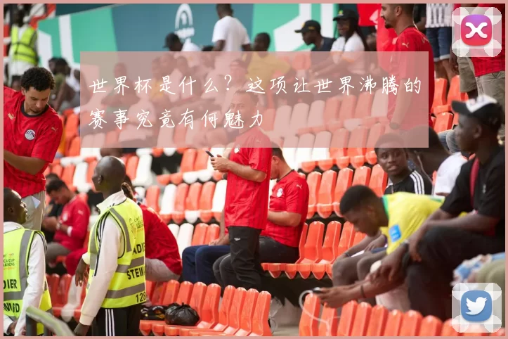 世界杯是什么?这项让世界沸腾的赛事究竟有何魅力