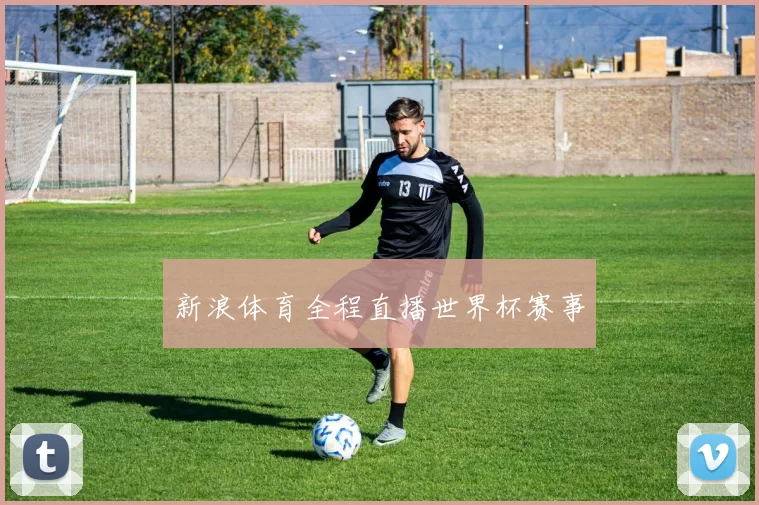 新浪体育全程直播世界杯赛事
