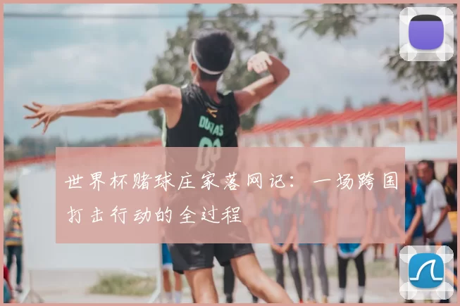世界杯赌球庄家落网记:一场跨国打击行动的全过程