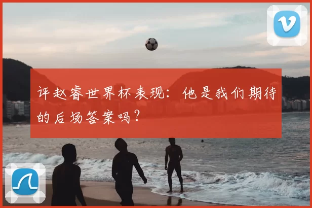 评赵睿世界杯表现：他是我们期待的后场答案吗？