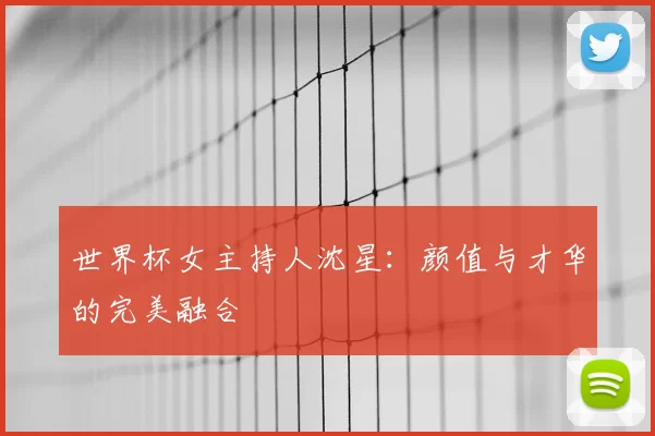 世界杯女主持人沈星:颜值与才华的完美融合