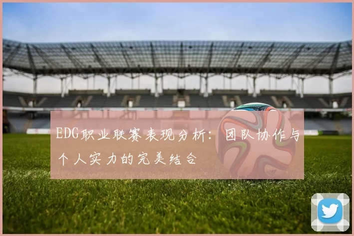 EDG职业联赛表现分析：团队协作与个人实力的完美结合
