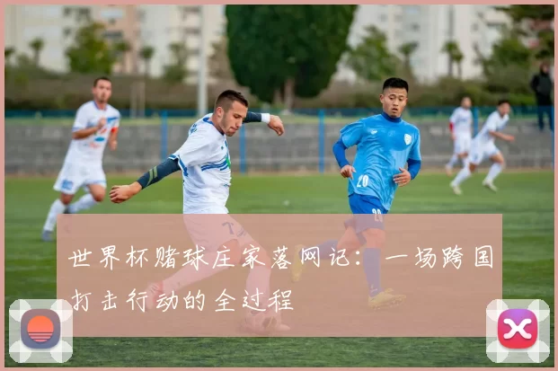 世界杯赌球庄家落网记:一场跨国打击行动的全过程
