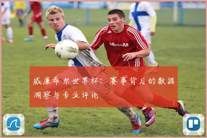威廉希尔世界杯：赛事背后的数据洞察与专业评论