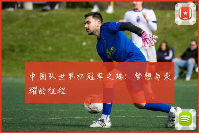 中国队世界杯冠军之路:梦想与荣耀的征程